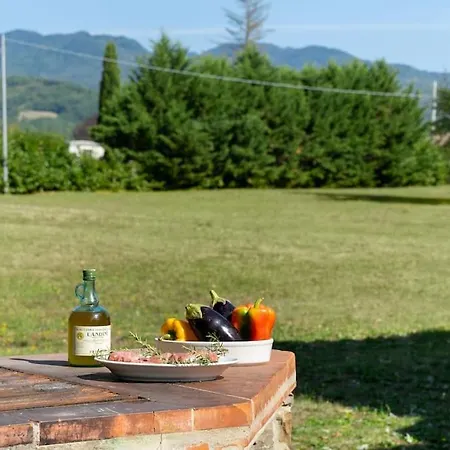 Вилла Il Colle Molezzano